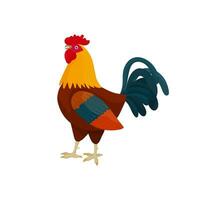 vettore illustrazione di un' Gallo nel cartone animato stile con Marrone piume. luminosa Gallo come un' simbolo o portafortuna per figli di libri, capi di abbigliamento design e cartoline con lettere.