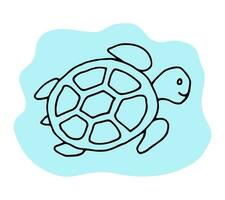 tartaruga scarabocchio linea mano disegno modificabile vettore illustrazione