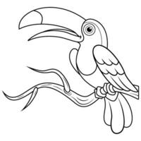 tucani uccello cartone animato su albero ramo linea arte vettore