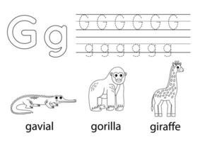 tracciare maiuscolo e minuscolo lettera g. animale alfabeto per bambini. vettore