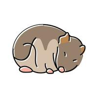 criceto addormentato animale domestico colore icona vettore illustrazione