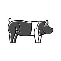 Hampshire maiale razza colore icona vettore illustrazione