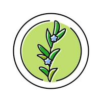 rosmarino cosmetico pianta colore icona vettore illustrazione