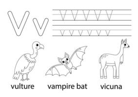 tracciare maiuscolo e minuscolo lettera v. animale alfabeto per bambini. vettore
