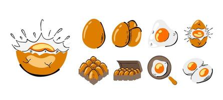 uovo schizzo collezione cartone animato illustrazione per formazione scolastica e promozione vettore