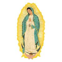 il santo vergine di guadalupe Messico vergine di guadalupe vergine Maria vettore