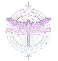 sacro geometrico modello e mano disegnato libellula. libellula tatuaggio. mistico simboli e insetti schizzo. alchimia, astrologia vettore