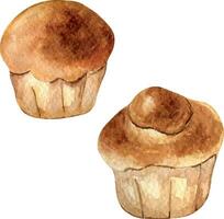 fresco totale brioche panini acquerello illustrazione isolato su bianca sfondo. mano disegnato francese pane per Panetteria. dipinto brioche. elemento per design segnaletica, libro di cucina, involucro carta, confezione vettore