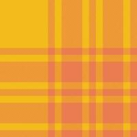 plaid dai un'occhiata modello. senza soluzione di continuità tessuto struttura. tartan tessile Stampa. vettore