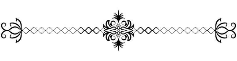 fiore confine decorativo design elemento nozze striscioni, cornici, etichette, nero Linee su bianca. vettore