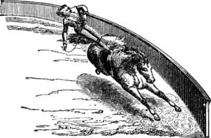 circo cavallo, Vintage ▾ illustrazione. vettore