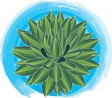 illustrazione di cactus pianta su blu cerchio sfondo. vettore