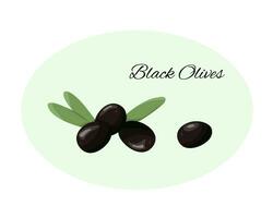 fresco nero olive nel cartone animato stile. oliva ramo con le foglie e olive. nero olive etichetta o logo. vettore isolato illustrazione.