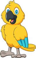 cartone animato carino giallo pappagallo portafortuna vettore