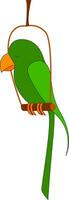vectro illustrazione di un' verde pappagallo su bianca backgrouond vettore