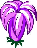 viola giglio fiore illustrazione colore vettore su bianca sfondo