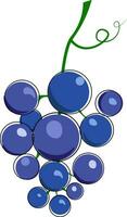 grappolo di blu uva con viticcio illustrazione vettore su bianca sfondo