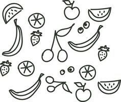 frutta ictus linea mano disegnato disegno, illustrazione, vettore su bianca sfondo.