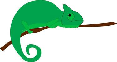 un' grande verde colore lucertola con capacità per modificare colore chiamato camaleonte vettore colore disegno o illustrazione