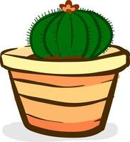 il giro cactus pianta con fiore per camera decorazione fornisce extra stile per il spazio occupato vettore colore disegno o illustrazione