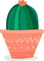 un' cupola sagomato cactus pianta con fiore per il Casa decorazione fornisce extra stile per il spazio occupato vettore colore disegno o illustrazione