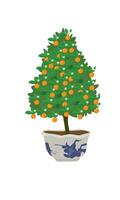 kumquat albero vettore illustrazione. tradizionale albero nel vietnamita nuovo anno. agrume microcarpa pianta clip arte. piatto vettore nel cartone animato stile isolato su bianca sfondo.