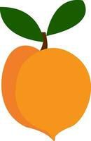 un' giallo Mango vettore o colore illustrazione
