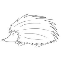 illustrazione vettoriale animale di riccio carino disegnato a mano isolato in uno sfondo bianco