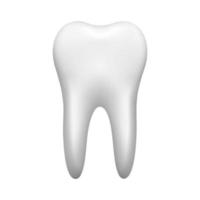 dente bianco isolato su sfondo bianco. icona di stomatologia. illustrazione vettoriale realistica