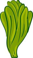 un' lungo verde lattuga con molti foglie, vettore o colore illustrazione.