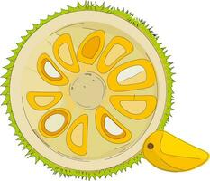 dimezzato jackfruit , vettore o colore illustrazione