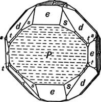 cristallo di ferro pirite mostrando rappresentanti di tutti il le forme di il isometrico sistema, Vintage ▾ illustrazione. vettore
