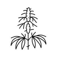 canapa pianta erba linea icona vettore illustrazione