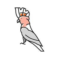 cacatua uccello pappagallo colore icona vettore illustrazione