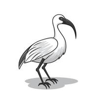 cartone animato uccello ibis bianco vettore