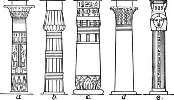 tipi di colonna, egiziano, Vintage ▾ incisione. vettore