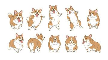 carino cartone animato corgi cane impostato , cartone animato cane personaggio design con piatto colori nel vario pose vettore