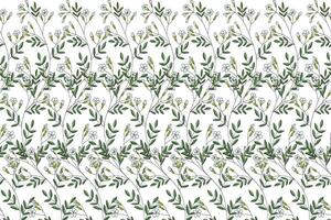 illustrazione, gypsophila fiore su bianca sfondo. vettore