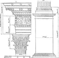 corinzio ordine, Vintage ▾ incisione. vettore