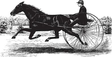 cavallo disegnato passeggino, Vintage ▾ illustrazione. vettore