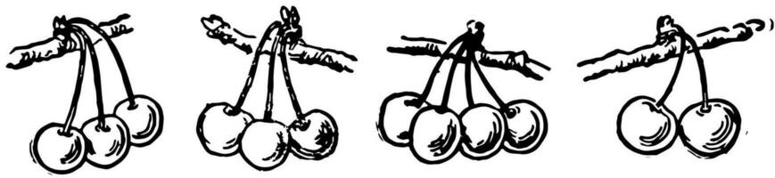 dodici ciliegie, Vintage ▾ illustrazione vettore