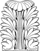 romano foglia è mostrato come un' capitale di un' colonna nel pantheon, Vintage ▾ incisione. vettore