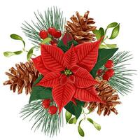 Natale arredamento. mazzo con rosso poinsettia fiore, vischio, frutti di bosco e pino. vettore