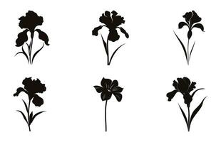 iris fiore silhouette vettore impostare, iris fiori clipart fascio