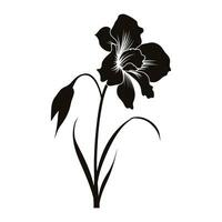 un iris fiore vettore silhouette isolato su un' bianca sfondo