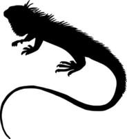 iguana silhouette vettore su bianca sfondo