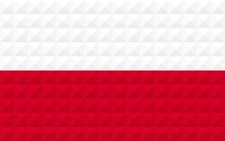 bandiera artistica della polonia con design concept art onda geometrica vettore
