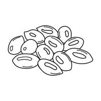 mano disegnato bambini disegno vettore illustrazione rosso bopple noccioline hicksbeachia pinnatifolia nel un' cartone animato stile isolato su bianca sfondo