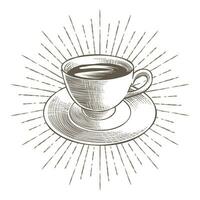 vettore illustrazione di un' tazza di caffè nel Vintage ▾ stile