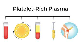 piastrina ricco plasma scienza design vettore illustrazione